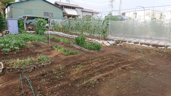 特定非営利活動法人よろずえ商会のアルバイト・バイト求人情報-04