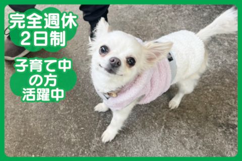 有限会社ミクリノの求人・転職情報