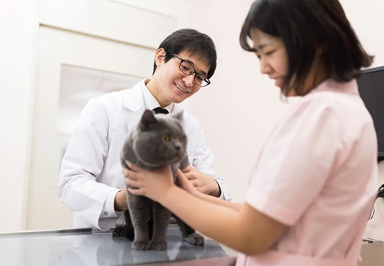 株式会社アグメディカルの求人・転職情報