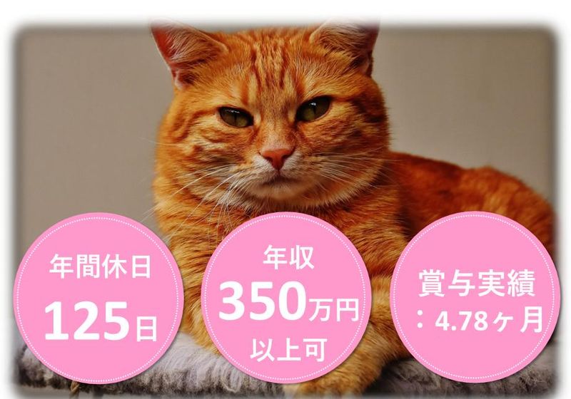 (株)辻総合クリエート　本社事業所/027のアルバイト・バイト求人情報-04