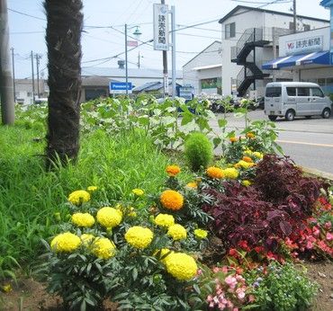 YC(読売センター)　さがみ野