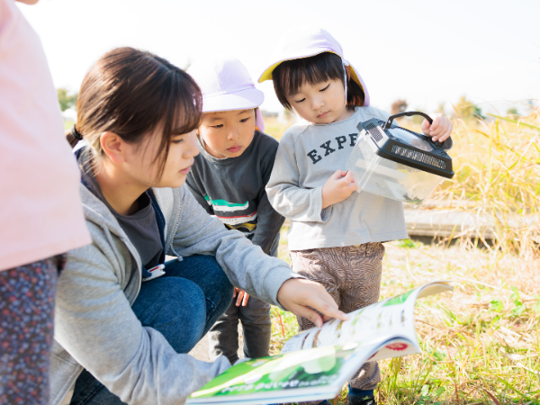 Nestおおたかの森保育園の求人情報