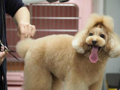 Pet's One 木津川店のアルバイト・バイト求人情報-04