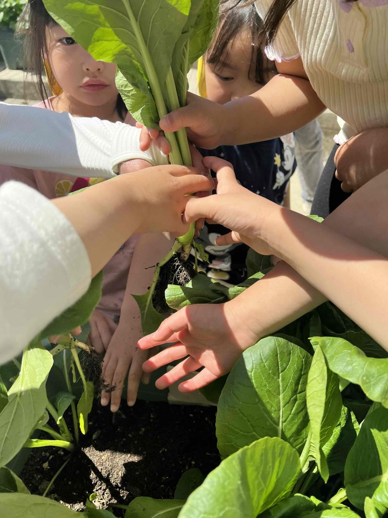 クニナたかだの森保育園の派遣求人情報