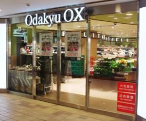 Odakyu OX X؏㌴X