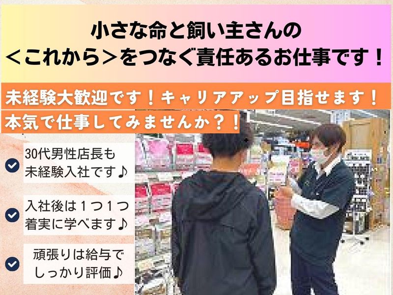 有限会社　アークスの求人・転職情報