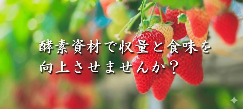 有限会社ティアンドティナーサリーの求人・転職情報