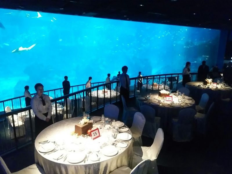 株式会社トリガージャパンの求人・転職情報