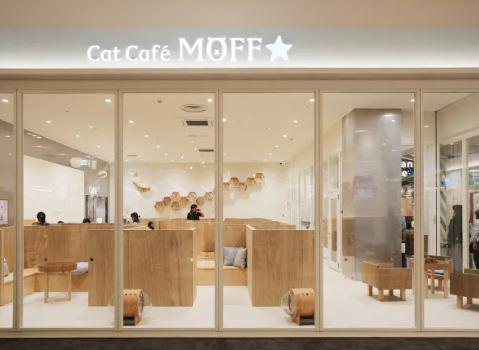 株式会社MOFFのアルバイト・バイト求人情報-04
