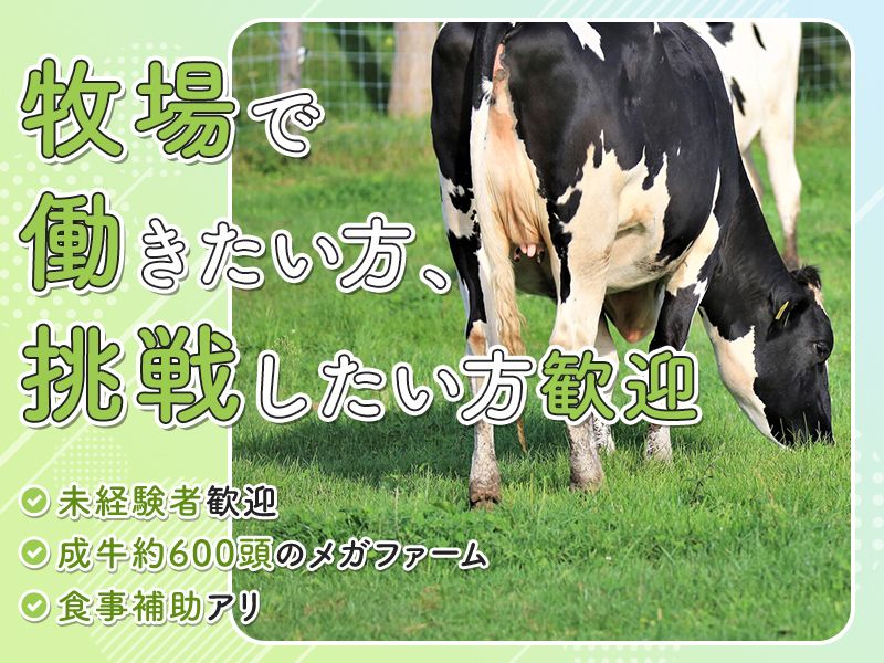 有限会社川渕牧場の求人・転職情報