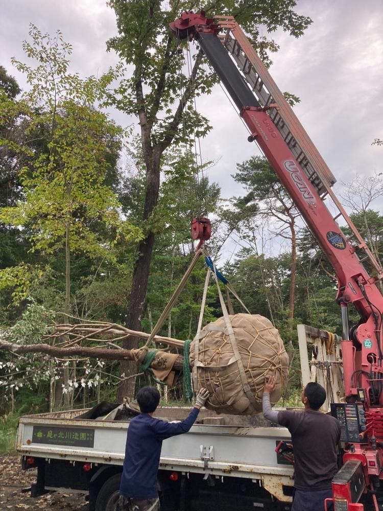庭や北川造園株式会社のアルバイト・バイト求人情報-04