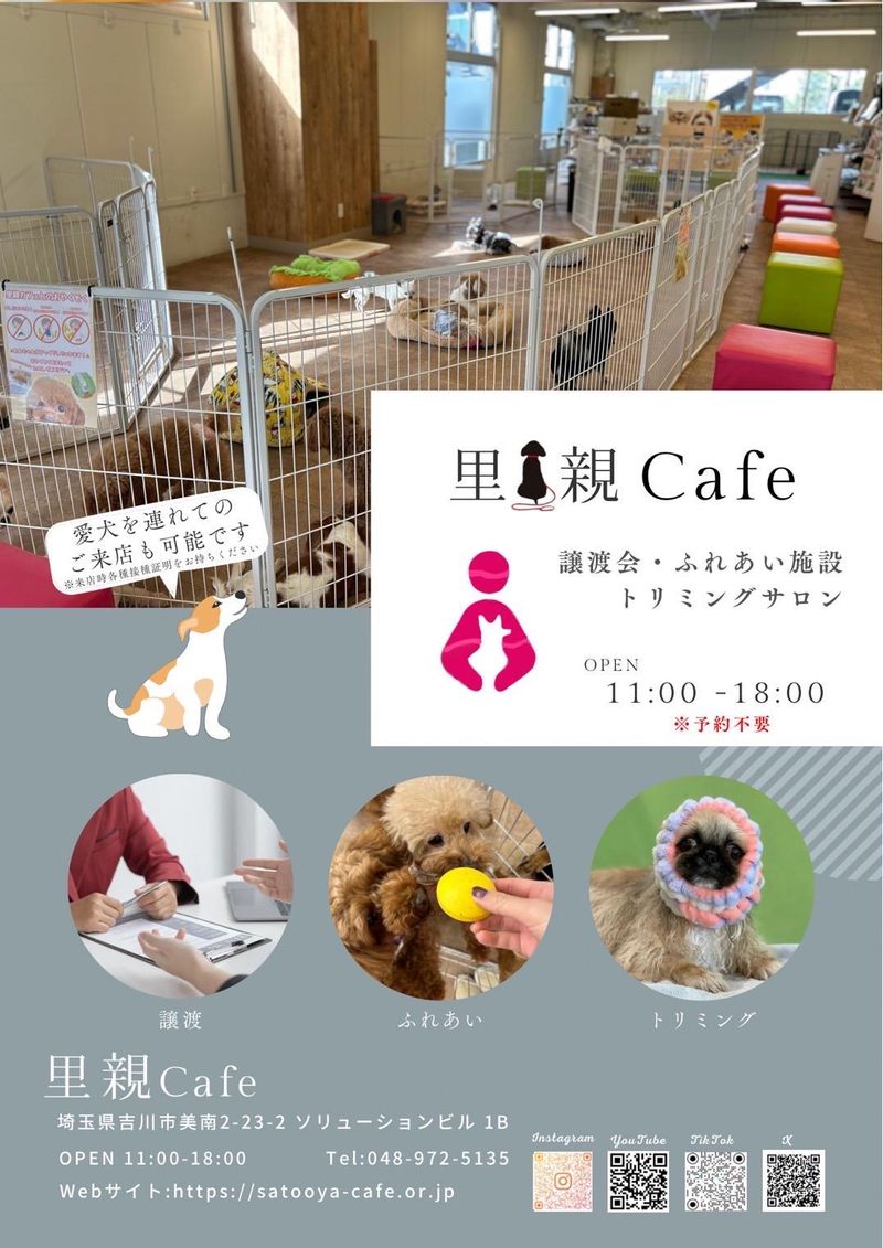 里親カフェ　一般社団法人ペット育成環境健全化推進協会のアルバイト・バイト求人情報-03