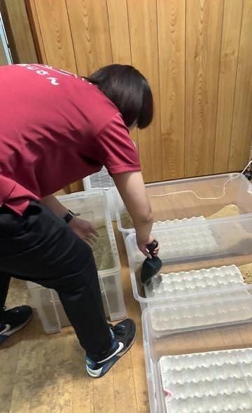 えさおじさんのアルバイト・バイト求人情報-04