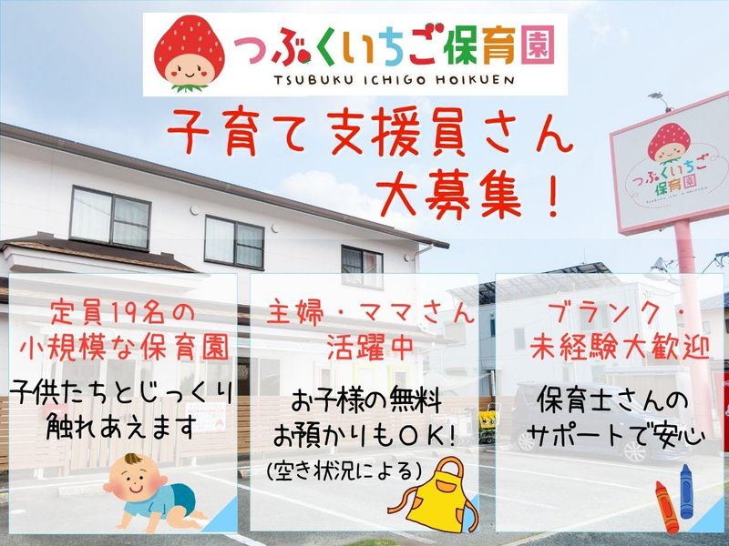 つぶくいちご保育園の派遣求人情報