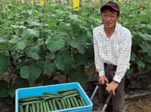 たやまち農園の求人情報