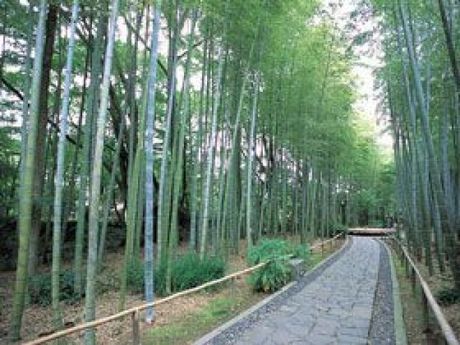 株式会社ヒューマニックのアルバイト・バイト求人情報-02