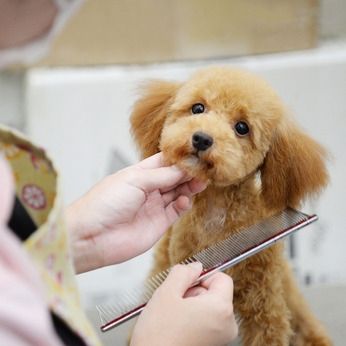 株式会社Coo&RIKU東日本の求人・転職情報