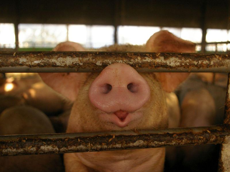 有限会社環境テクシス