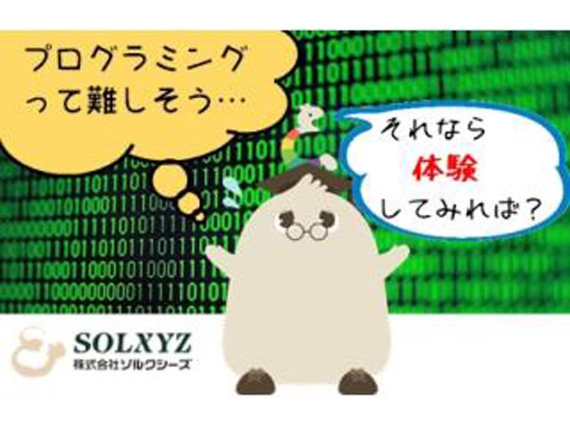 株式会社ソルクシーズ