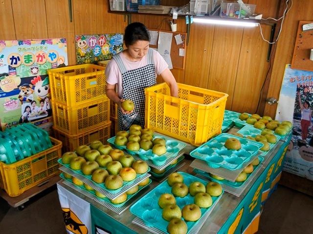 求人画像