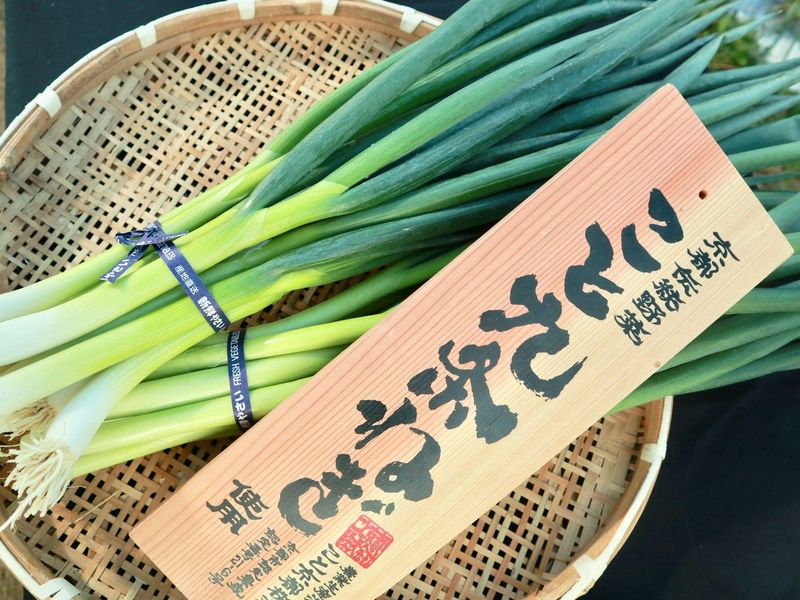 こと京都株式会社　向島工場のアルバイト・バイト求人情報-04