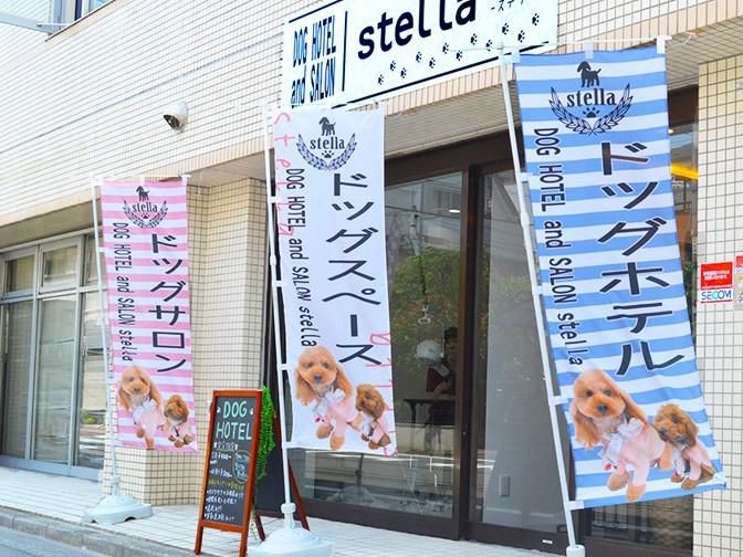 ｓｔｅｌｌａ８３株式会社-0002の求人・転職情報