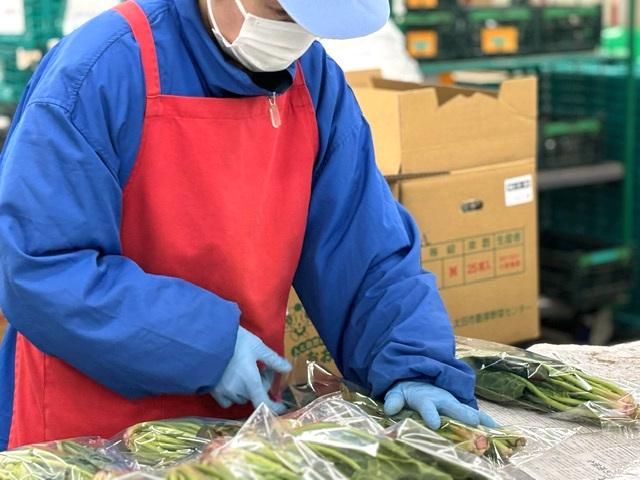 朝日青果株式会社