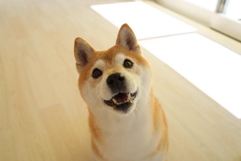 株式会社ＬＡＣの求人・転職情報