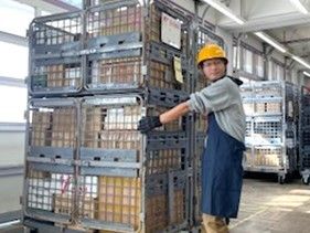 日本郵便株式会社 群馬南郵便局<期間限定:荷物等の仕分け作業>の求人情報