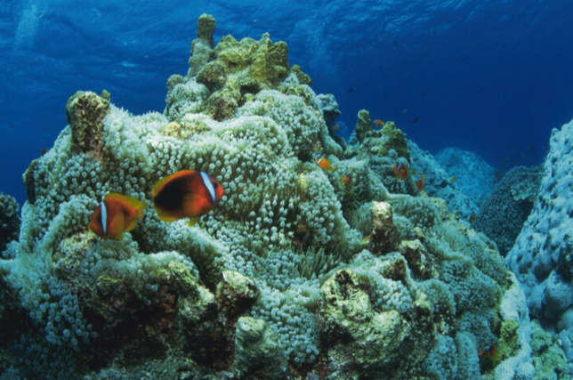 神戸須磨シーワールド