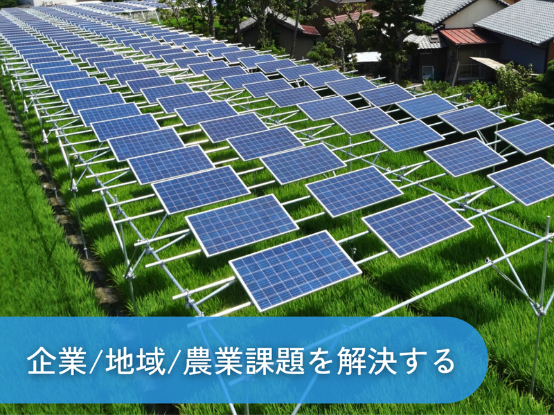 スマートブルー株式会社