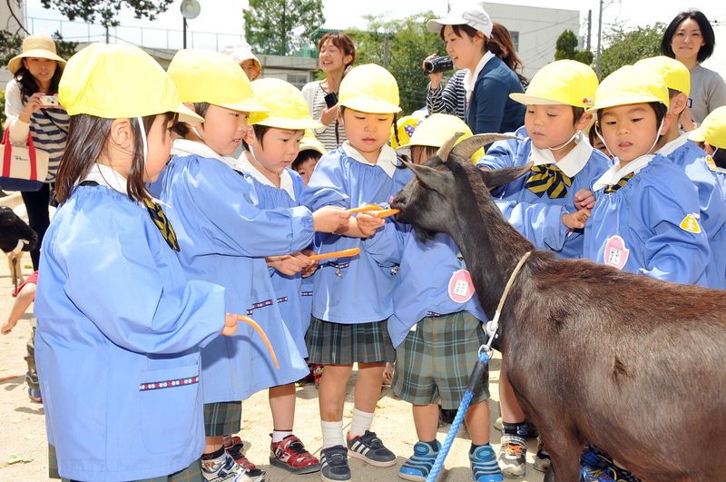 株式会社どうぶつむら　相模湖飼育所のアルバイト・バイト求人情報-04