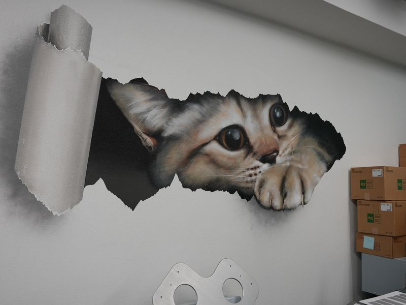 日本メール株式会社の求人・転職情報