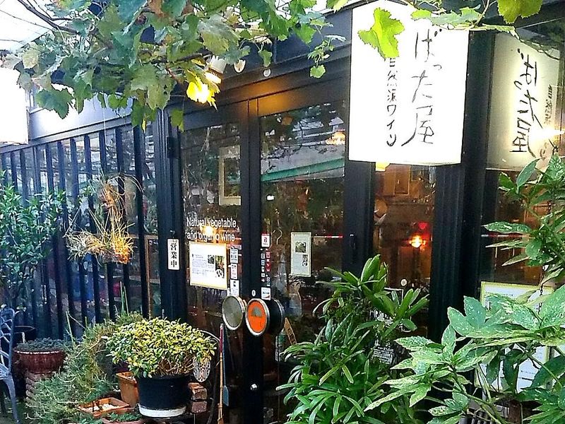 自然野菜と自然派ワインのお店 ばった屋のアルバイト・バイト求人情報-02