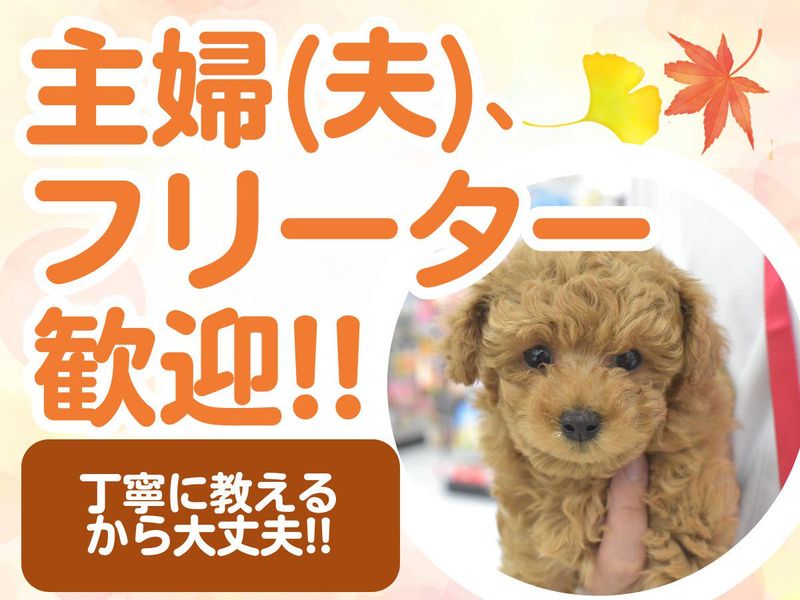 有限会社ワンラブ(本部)のアルバイト・バイト求人情報-05