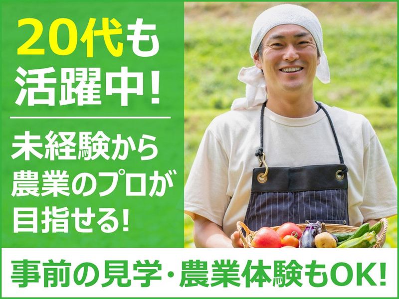 株式会社ヴイポートの求人・転職情報