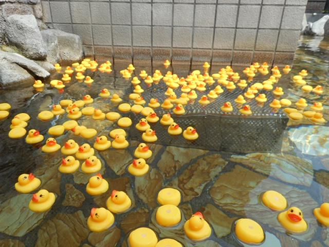 アクアリゾート岐阜ふじの湯(有限会社ふじの湯)のアルバイト・バイト求人情報-05