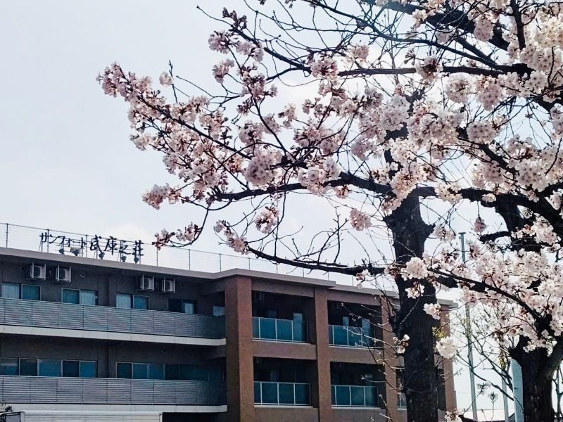 社会福祉法人三養福祉会の求人・転職情報