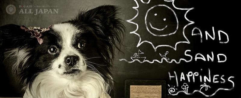 犬のお宿とシャンプーのアルバイト・バイト求人情報-05