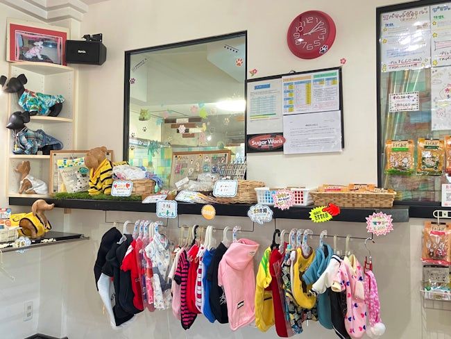 株式会社シュガーコーポレーションの求人・転職情報