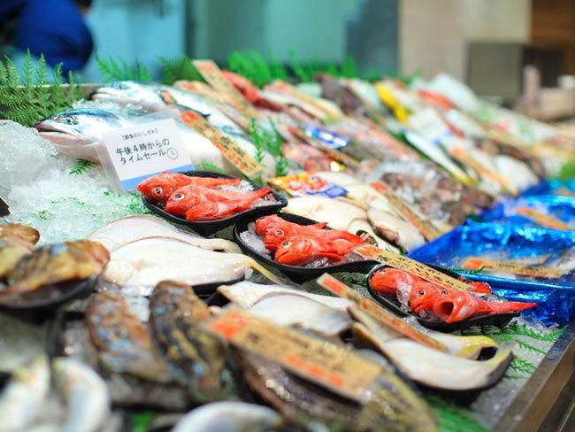 株式会社 海心の求人・転職情報