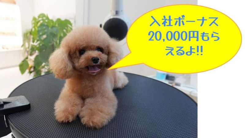 株式会社レックスの求人・転職情報