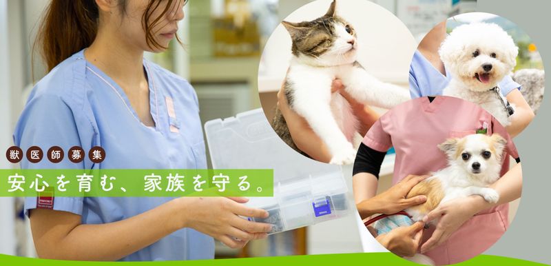 有限会社八幡の求人・転職情報