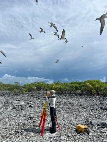株式会社グラフィックの求人・転職情報