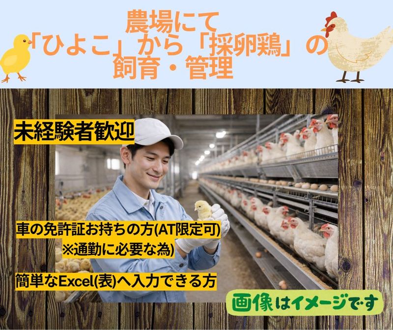 株式会社マルサンの求人・転職情報