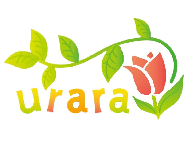 デイサービスうらら(株式会社アクセル)のアルバイト・バイト求人情報-03