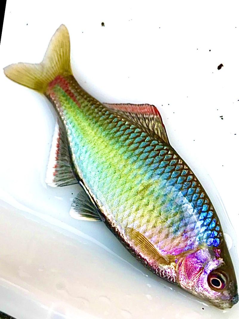 株式会社東和コーポレーション　秋葉原営業所【台東区上野】のアルバイト・バイト求人情報-05