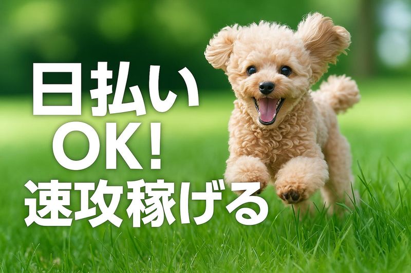株式会社ビーワークスのアルバイト・バイト求人情報-05