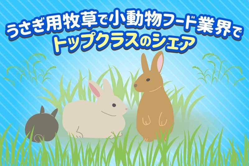 ハイペット株式会社の求人・転職情報