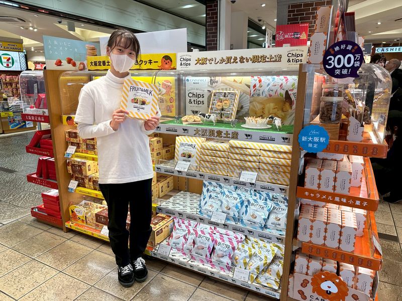 株式会社シェルティの求人・転職情報